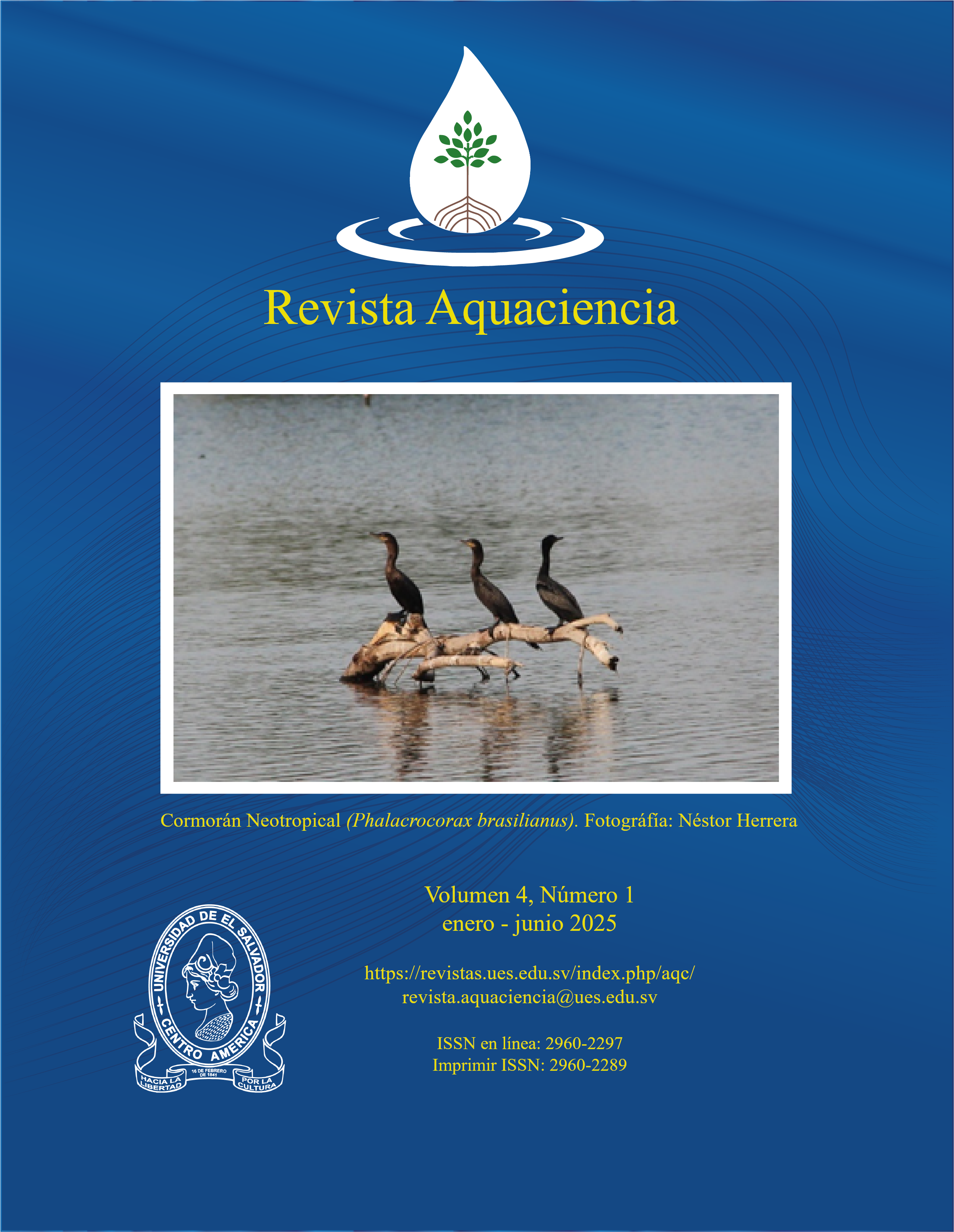 Ver Vol. 4 Núm. 1 (2025): Volumen ordinario enero - junio 2025