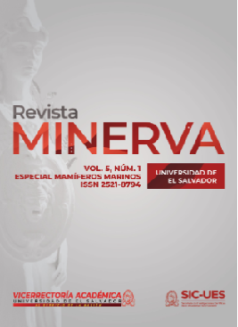 					Ver Revista Minerva Vol. 5, no. 1, mayo 2022
				